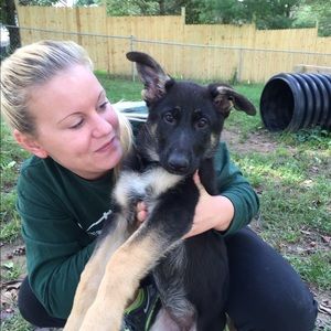 Meet your Posher, Laura